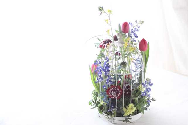 鳥かごから飛び出す彼ら Le Petit Bonheur