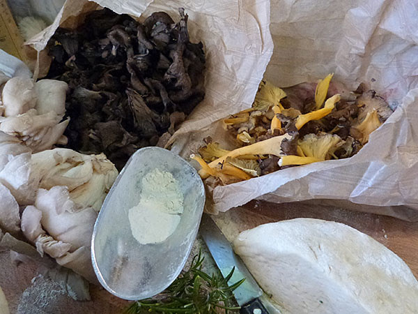 champignons