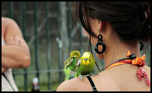 Inseparabili