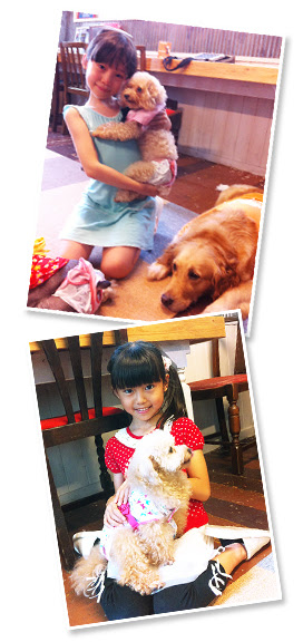 福岡 北九州 小倉癒しのふれあい犬カフェ 犬とのふれあいの大切さ
