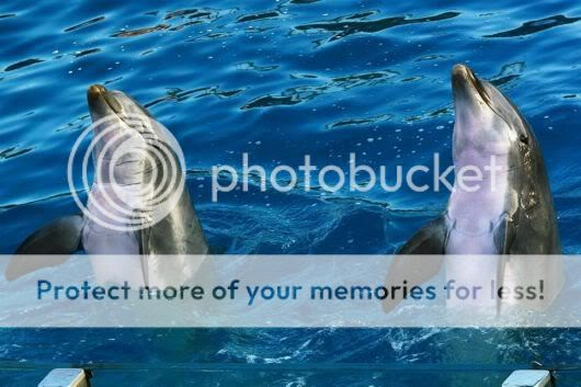 Amazing Sea World Adventure Park