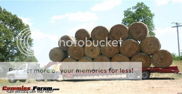 Dodge Trucks Suck - Dodge: Drips Oil, Drops Grease ...