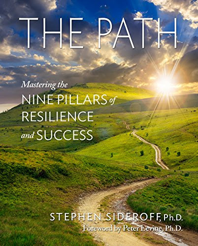 The Path: Mastering the Nine Pillars of Resilience and Success, by Stephen Sideroff