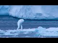 5 Mysterious Creatures Caught on Camera