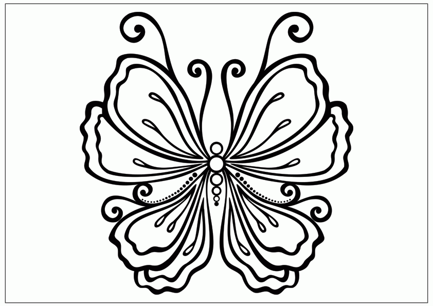 Download Outlines Of Butterflies - Coloring Home