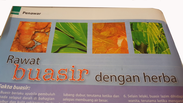 Herba Penawar Buasir Segalanya Tentang Tumbuhan