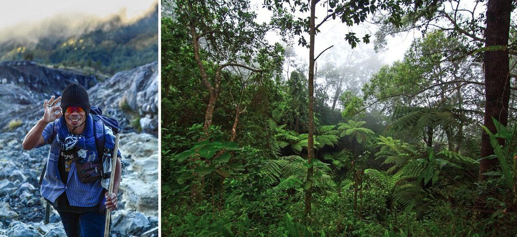 Lush Rainforest on the slopes of Gunung Agung Lush Rainforest on the slopes of Gunung Agung