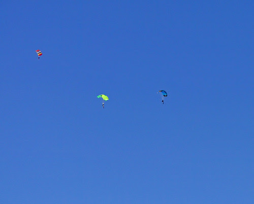 DSC02334