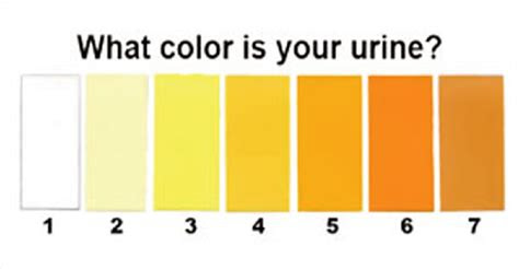  5 warning signs about your health from the colour of your urine 5