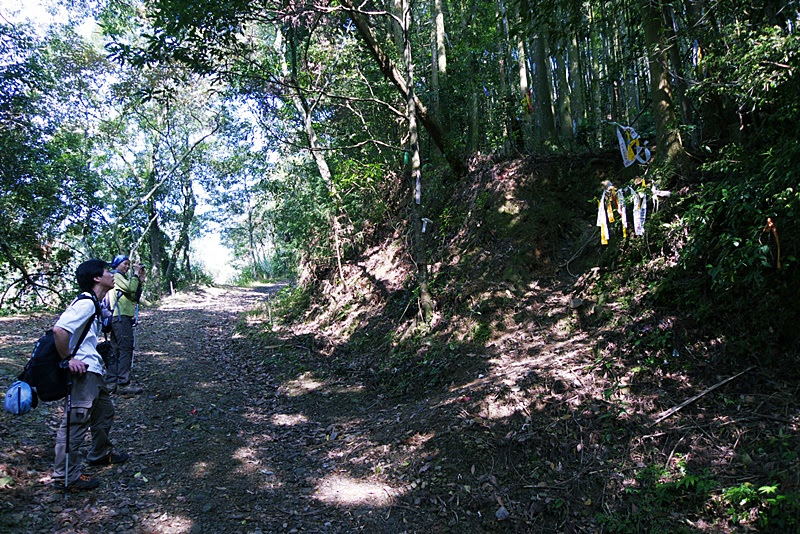 P1020848