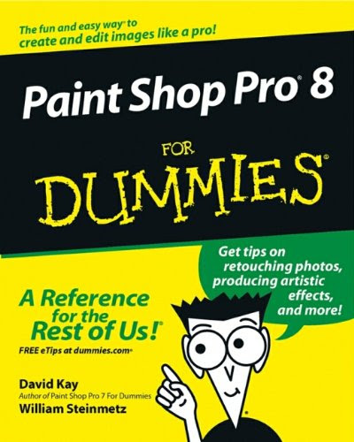 Paint Shop Pro 8 For Dummies (For Dummies (Computers)), by David C. Kay, William Steinmetz