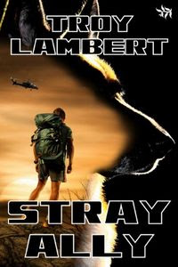 Stray Ally by Troy Lambert
