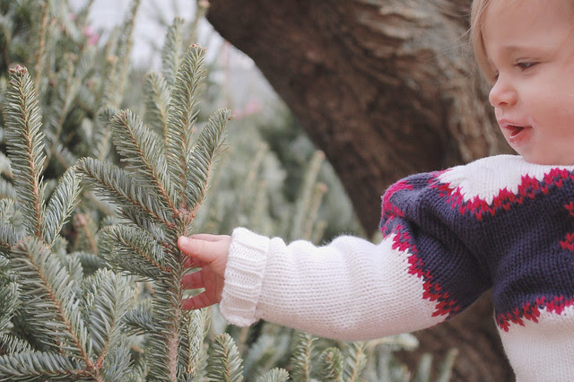 tree3