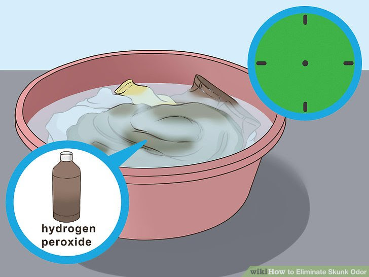 Eliminate Skunk Odor Step 13.jpg