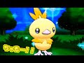 最高のコレクション ポケモン y 最初 の ポケモン 207350-ポケモンy 最初のポケモン進化