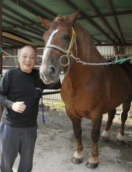 北海道 ばんえい競馬 で 馬肉 の危機より生還した馬が活躍中 ただいまに生きる