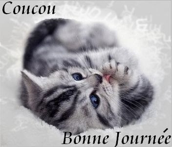 BONNE JOURNEE AVEC QUE DES CHATS !