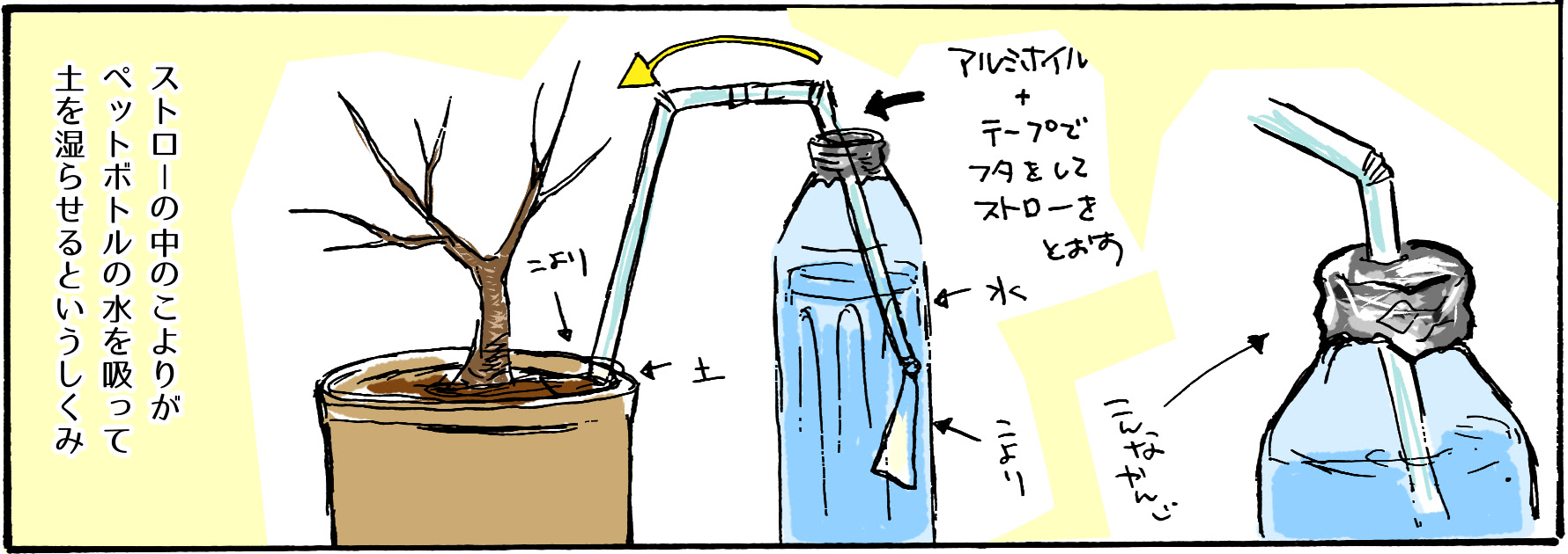 毛細管現象の自動水やり機を自作してみた Saka Me