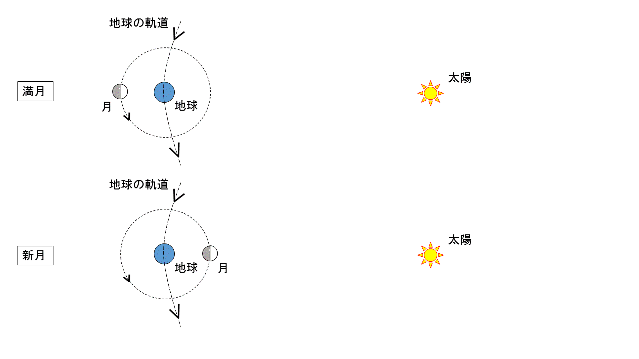 夜空 フクロウのペン