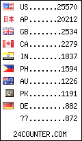 visitors by country counter
