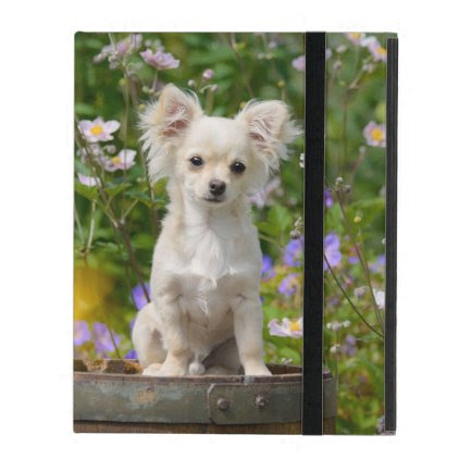 Cute longhair cream Chihuahua Dog Puppy Pet Photo- iPad Covers