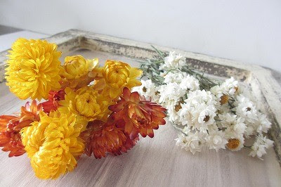 人気のドライフラワーを長持ちさせるには フラワーエデュケーションジャパン