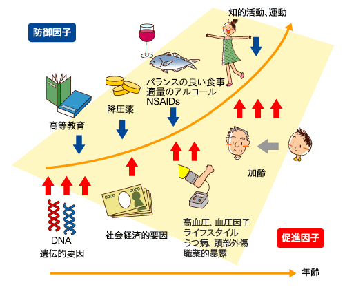 撮って診る認知症genki55 Net これだけは知っておきたい認知症 予防しよう