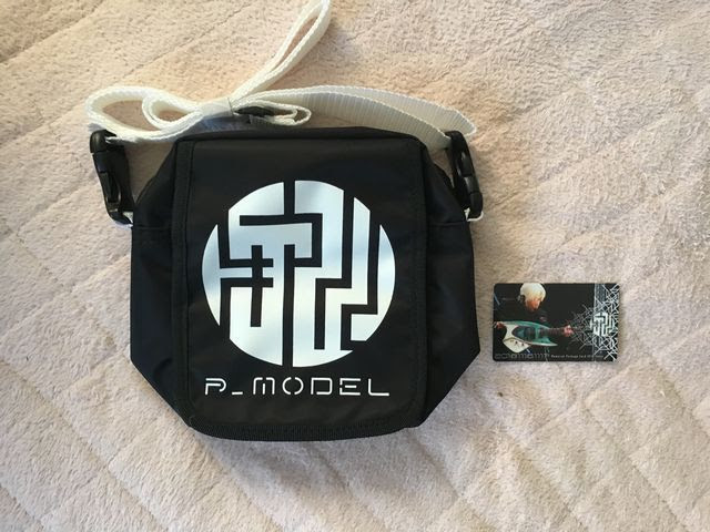 平沢進 P Modelのこと High Clear Voice