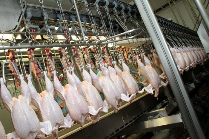 OSHA inspectors to target poultry plant recordkeeping ...