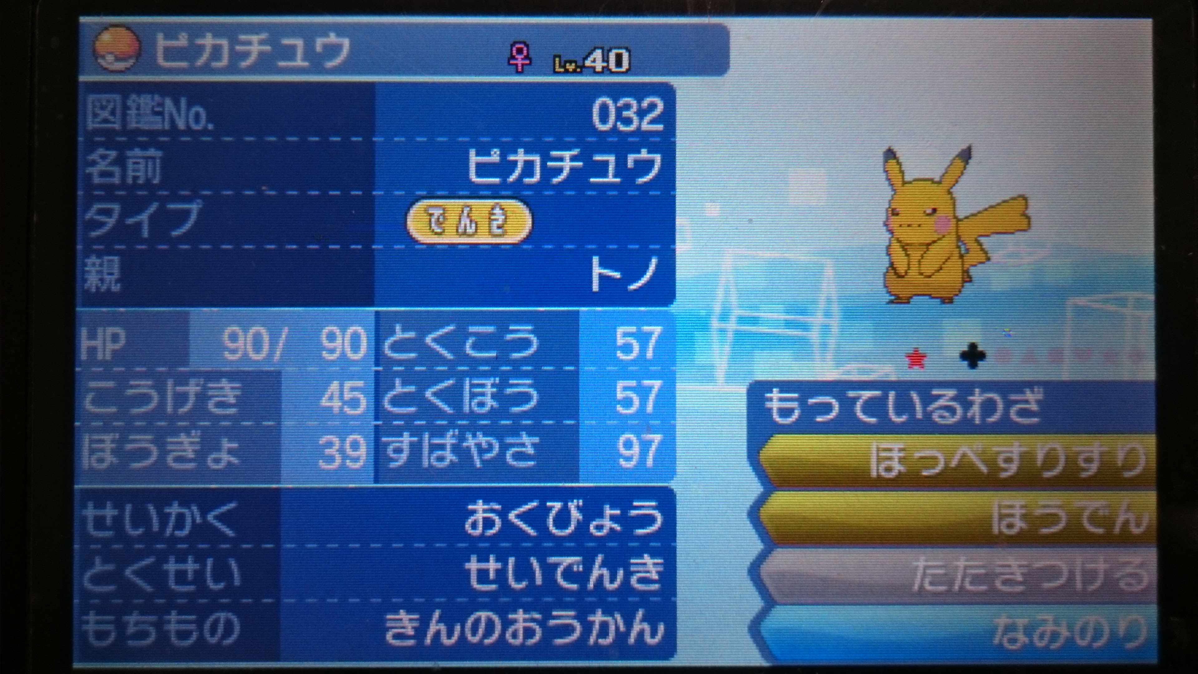 Usum なみのり ピカチュウ 色乱数 続 大人でもポケモン好き