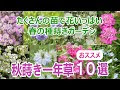 秋蒔き 花 種 428367
