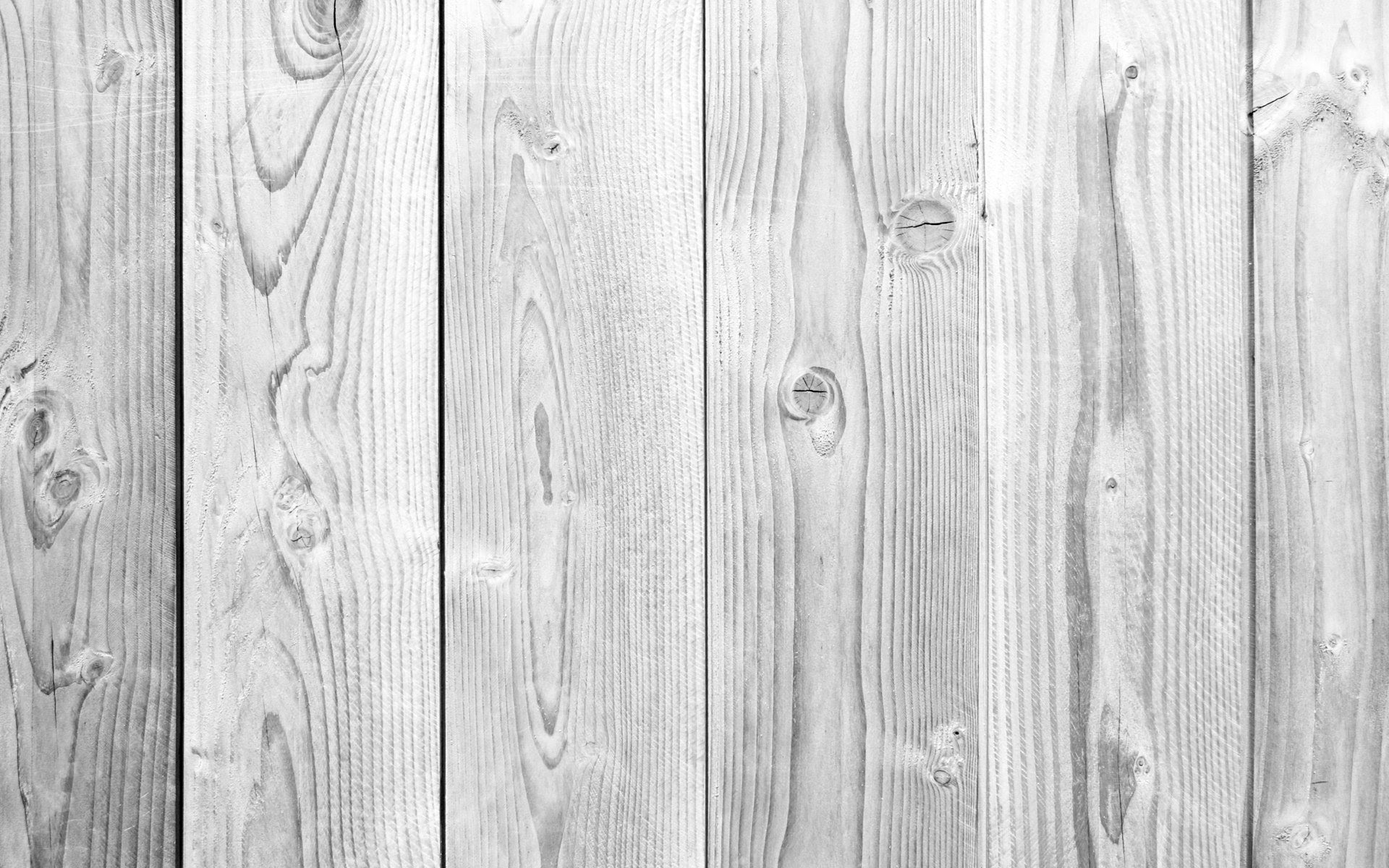logo snow on mockup Photo Hd White Wallpaper Wood Collection