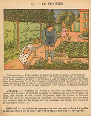 premchoses p54
