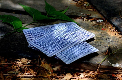 ジョジョの奇妙な冒険 スターダストクルセイダーズ のタロットカードの話 連載jp