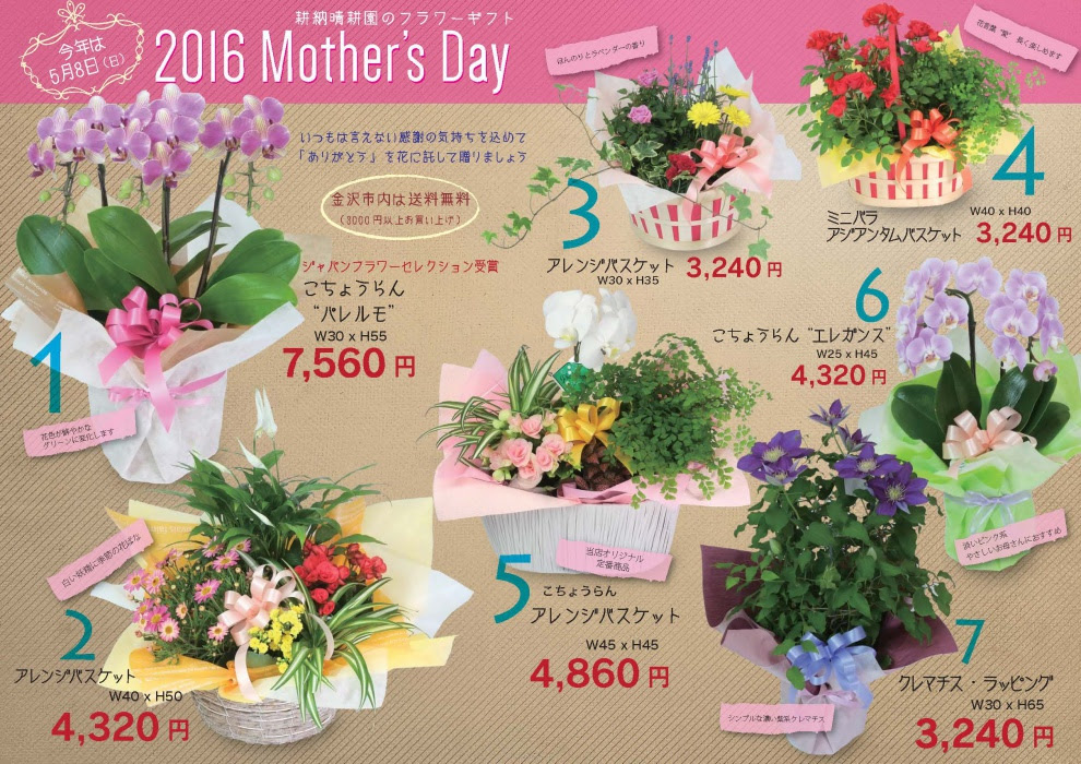 16母の日ギフト 耕納晴耕園