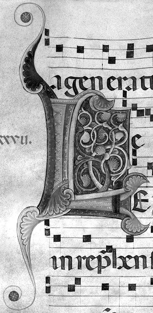 lettera L miniatura,