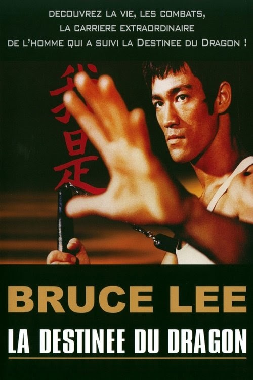 مشاهدة فيلم Bruce Lee - La Destinée du Dragon 2004 مترجم hd اون لاين