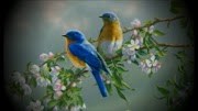 18+ Beautiful Pictures Of Flowers And Butterflies Birds Download, Great!