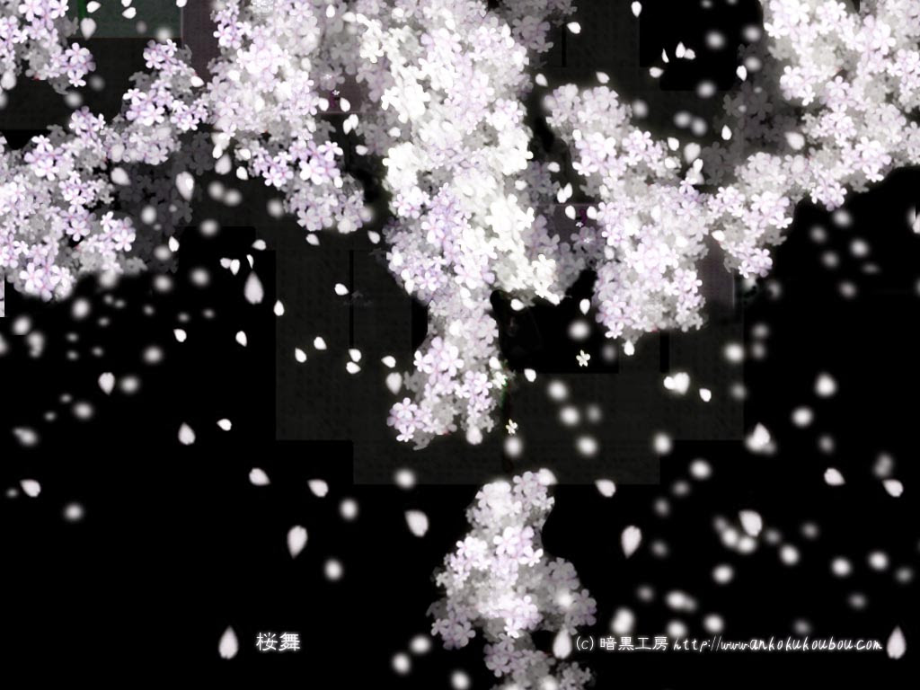 暗黒ホラーデスクトップピクチャ 桜舞 デスクトップ壁紙