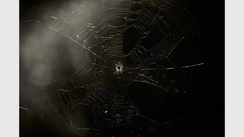 How To Earn Bitcoin By Turning Your Android Device Into A Tor Node - 