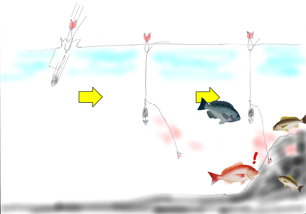 釣りの雑学 よ ぜふｎｏ伊豆釣り日記