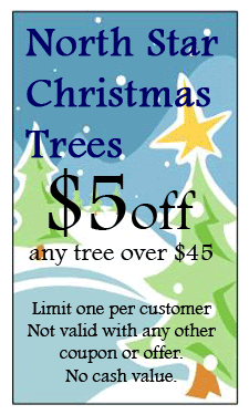 North Star Christmas Trees | Coupons