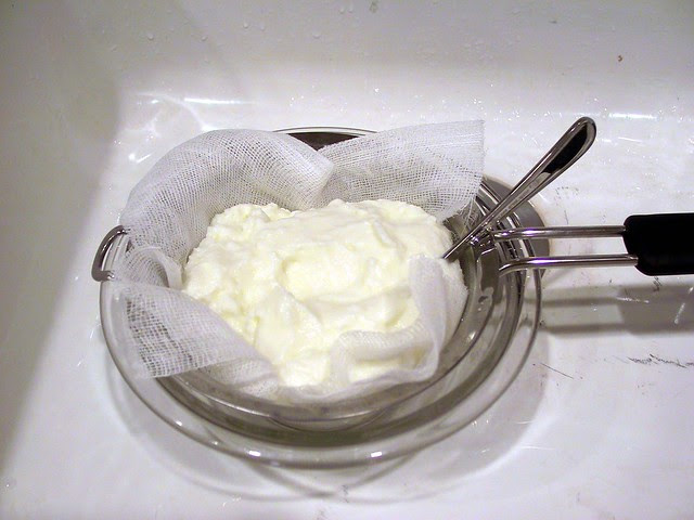 Yogurt by Mom the Barbarian, on Flickr