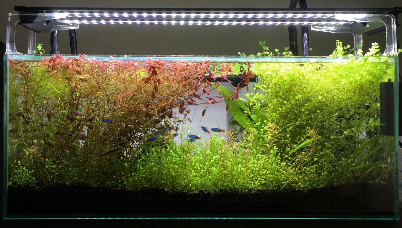 Landd Style アクアリウム