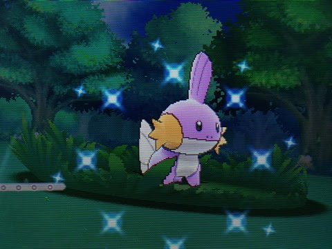 色違いいつ出るんだよ 色ミズゴロウ