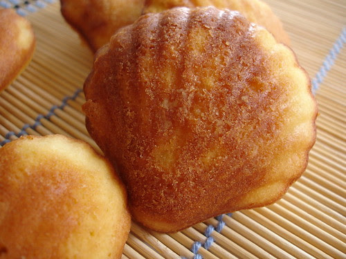 Lime honey madeleines