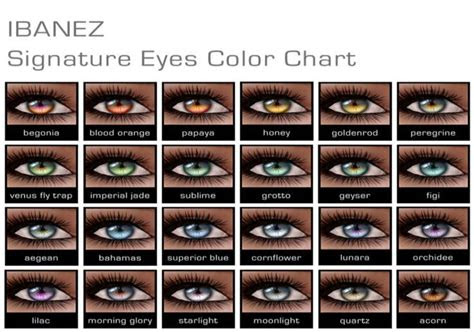 The l'oreal paris hair color chart is a complete listing of all of the hair colors included in the l'oreal hair dye product line. eye color chart eye color chart eye color makeup charts