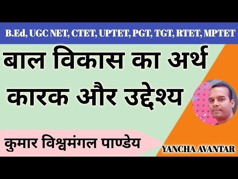 चित्र