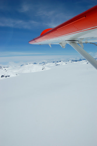 Fromthewing3