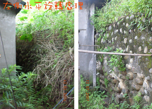 反省舍後方擋土牆比較，地瓜豆拍攝。